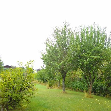 Ferienwohnung Am Mozarthuegel Варштайн Экстерьер фото